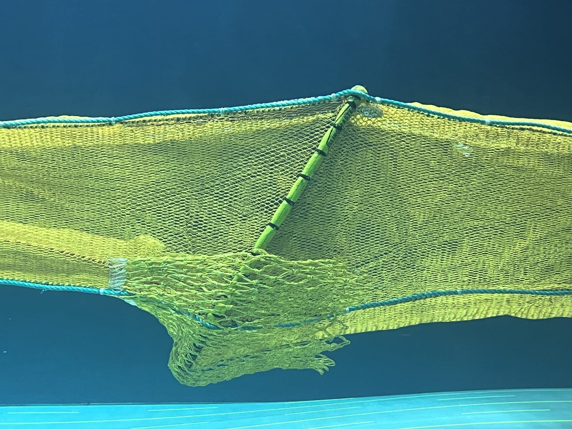 A scaled trawl model under tow in the flume tank, its mouth held open by the flow against the tank's blue wall