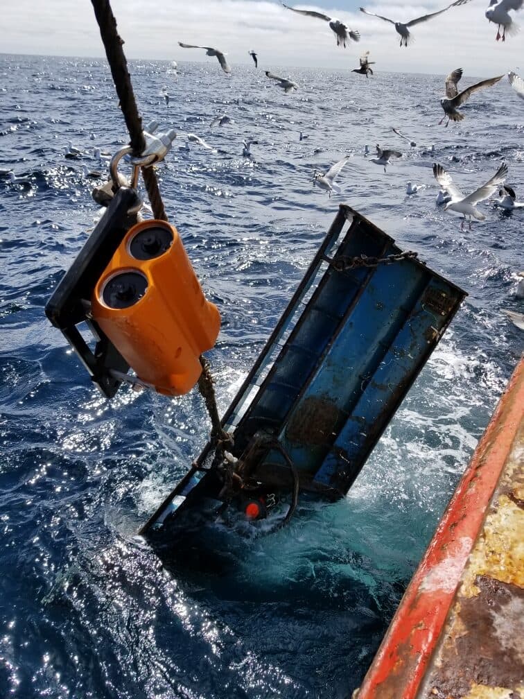 A trawl door going over the side at sea with an instrument pod shackled in above it, gulls over the water astern