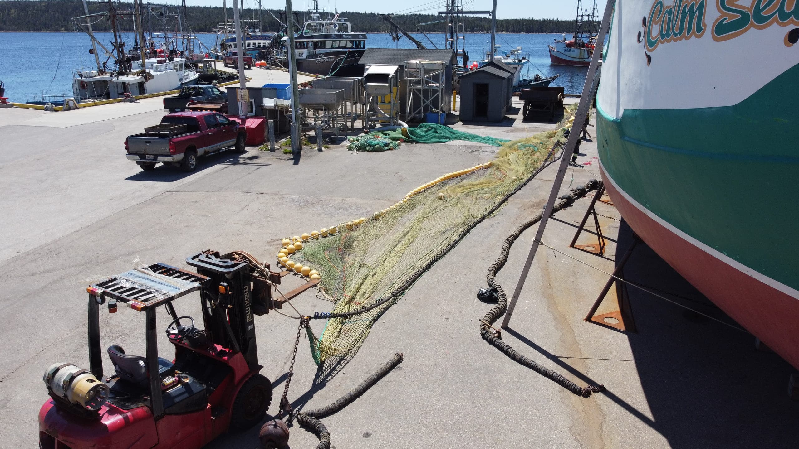 Netting spread across the wharf apron beside a hauled-out fishing vessel, forklift and gear alongside